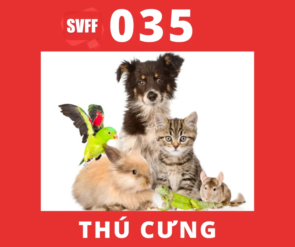 THÚ CƯNG