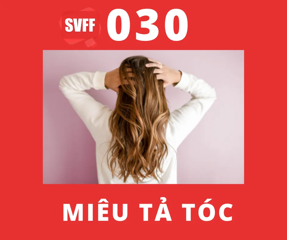 MIÊU TẢ TÓC
