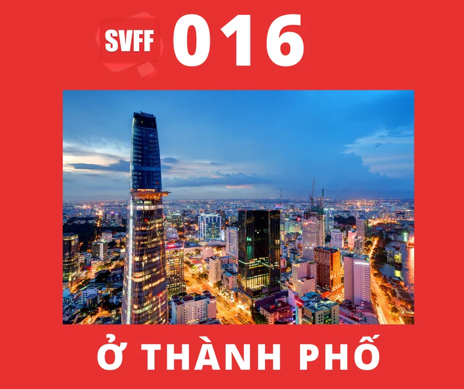 Ở thành phố