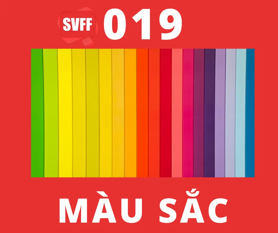 MÀU SẮC