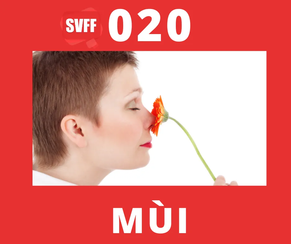 MÙI