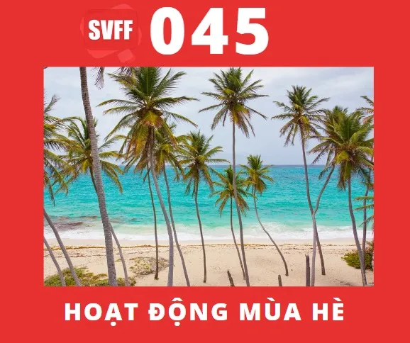 HOẠT ĐỘNG MÙA HÈ