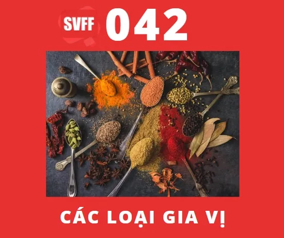 CÁC LOẠI GIA VỊ