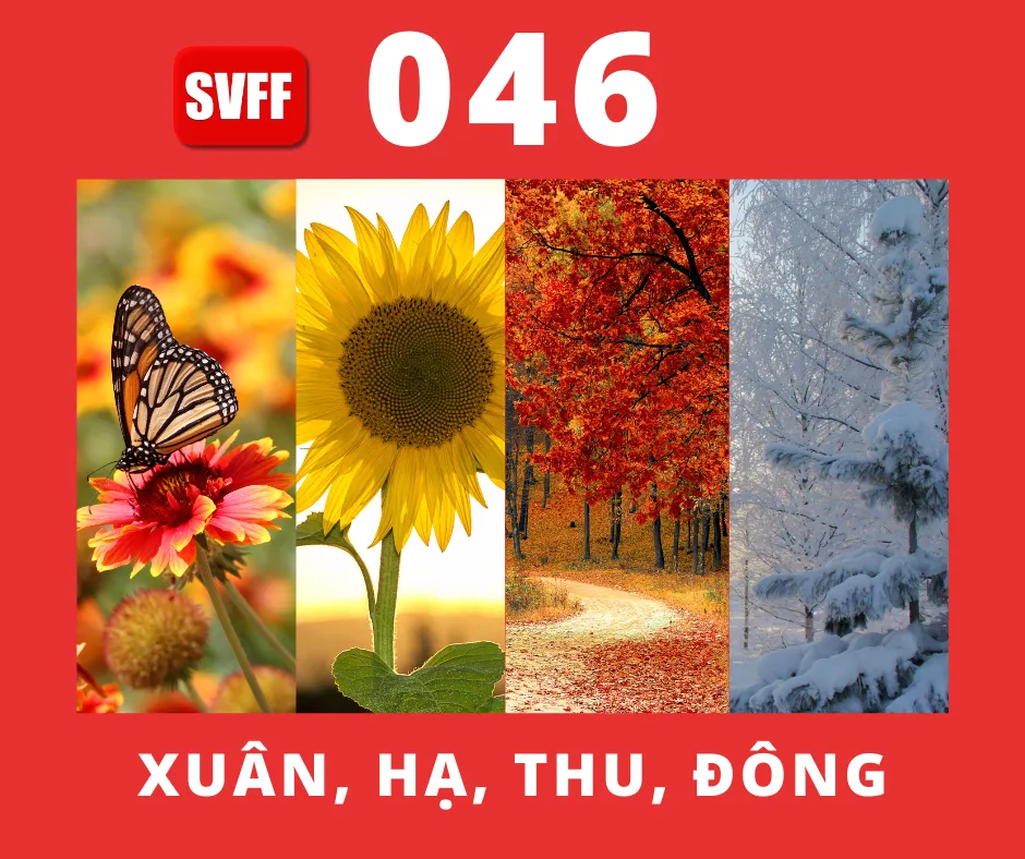 XUÂN, HẠ, THU, ĐÔNG
