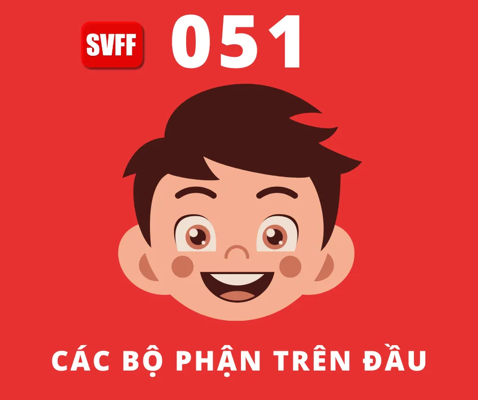 CÁC BỘ PHẬN TRÊN ĐẦU
