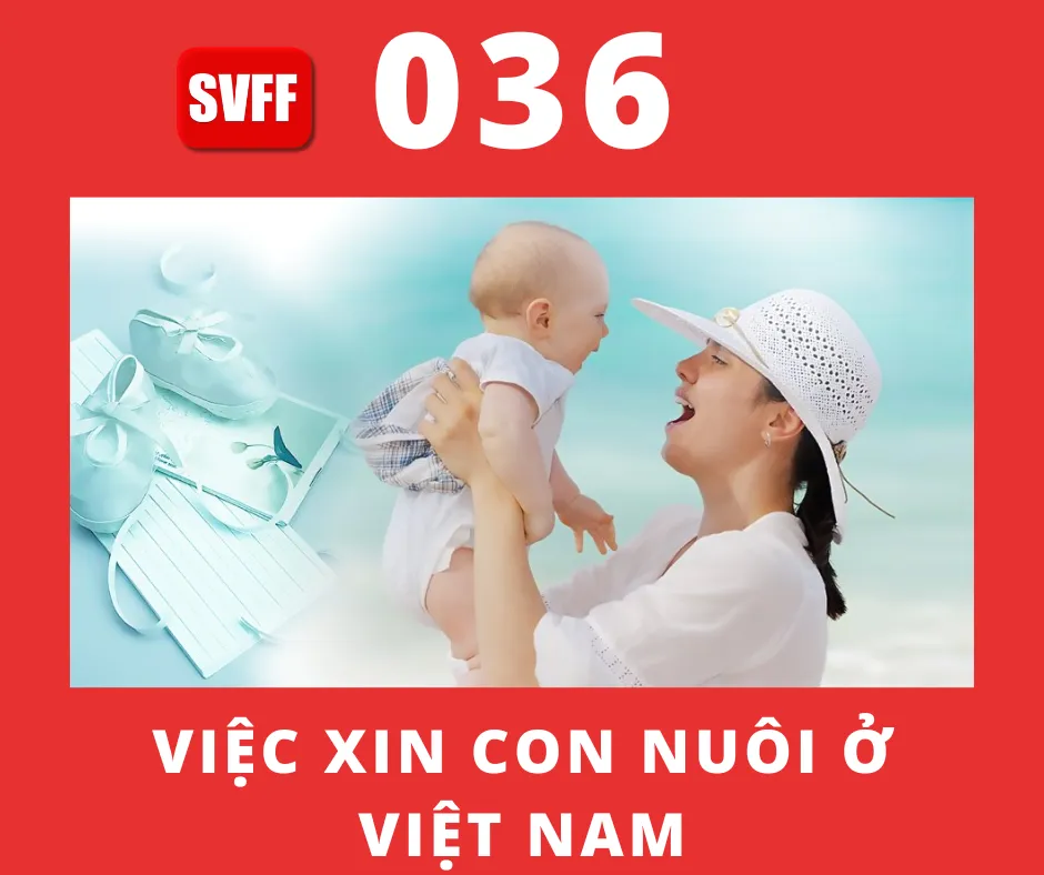 VIỆC XIN CON NUÔI Ở VIỆT NAM