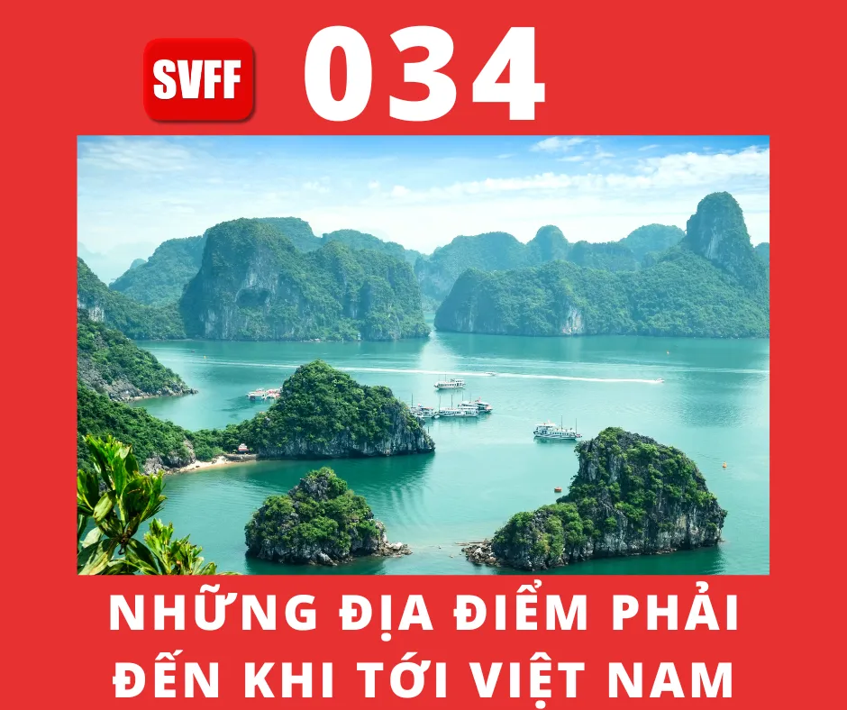 NHỮNG ĐỊA ĐIỂM PHẢI ĐẾN KHI TỚI VIỆT NAM