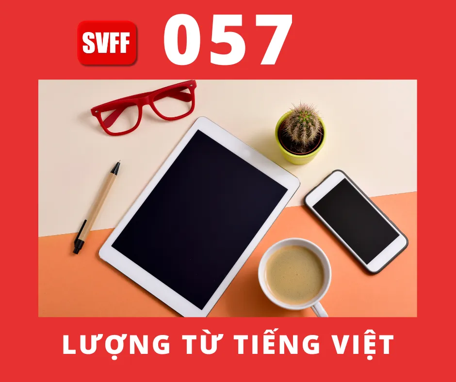 LƯỢNG TỪ TRONG TIẾNG VIỆT